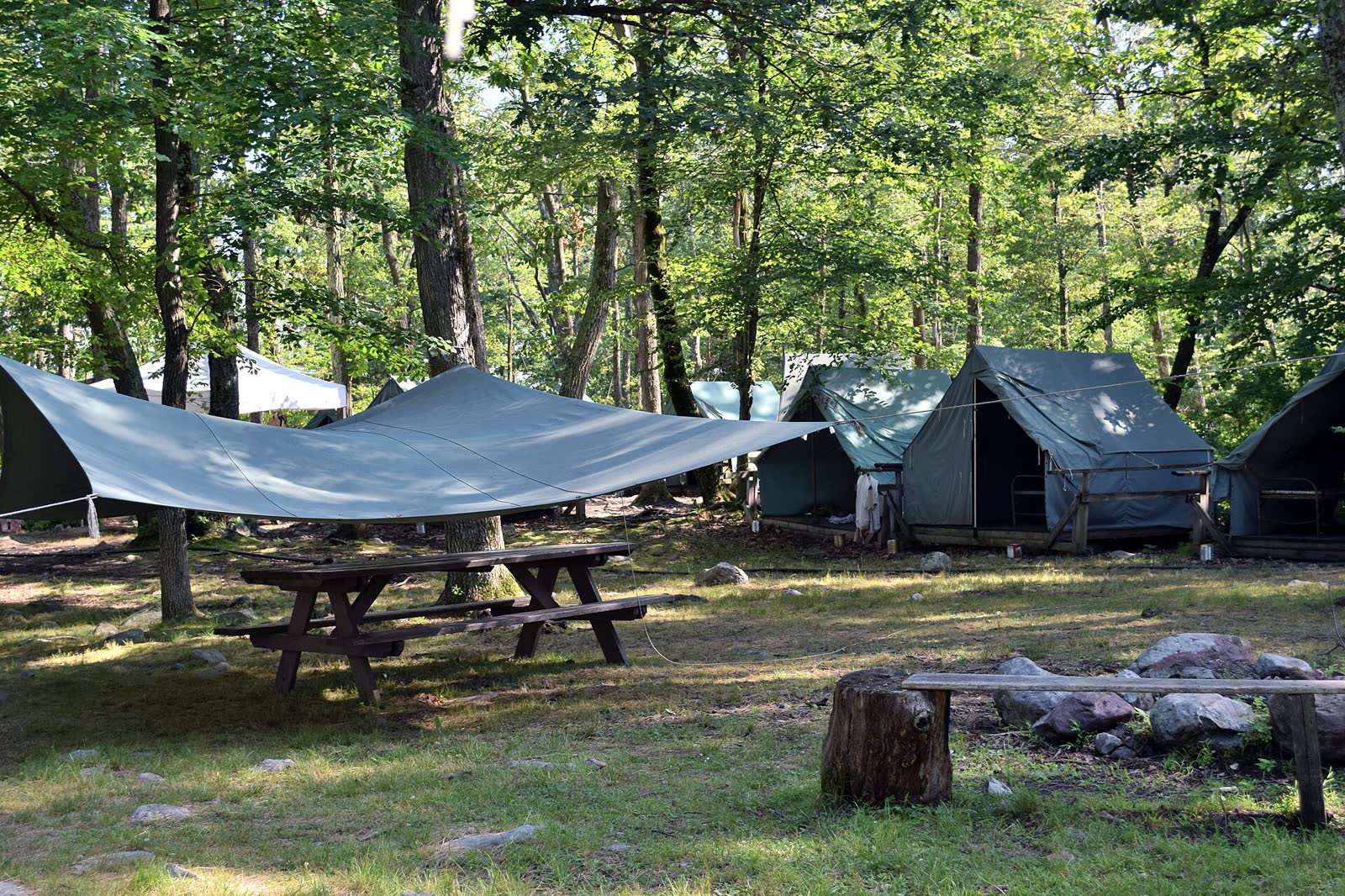 Barracas e mesa de piquenique na área de acampamento, entre as árvores